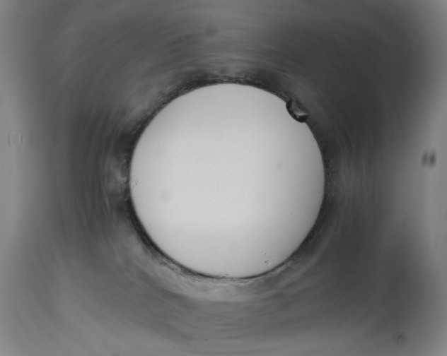 X0000114640040200911101308