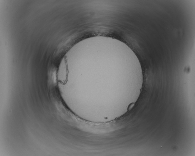 X0000114640042200911101308