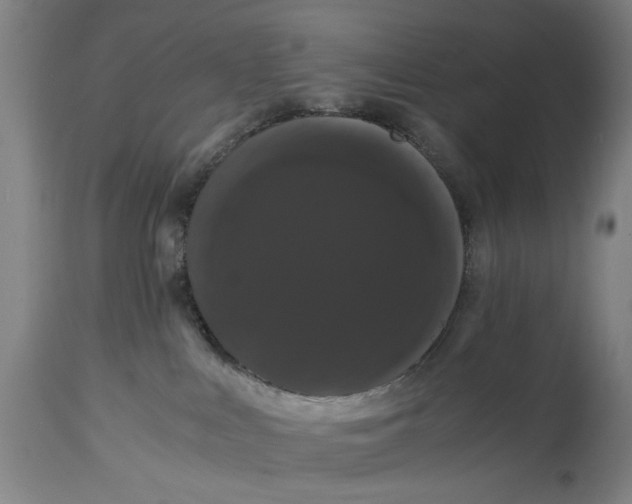 X0000114640043200911101308