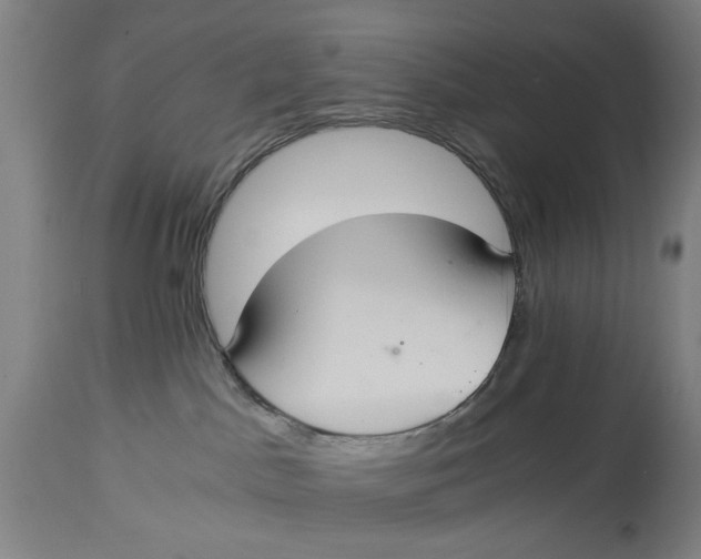 X0000114640045200911101308