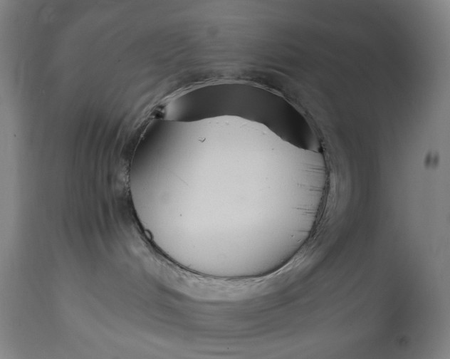 X0000114640048200911101308