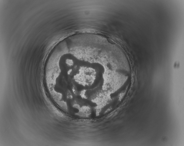 X0000114640049200911101307