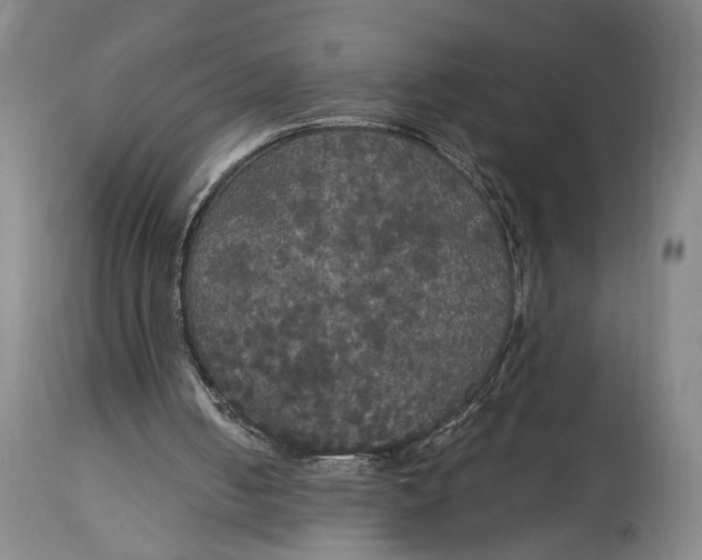 X0000114640050200911101307