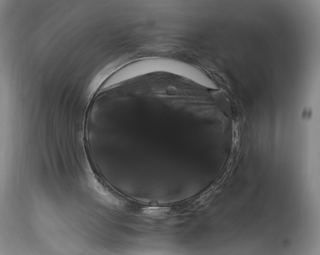 X0000114640051200911101307