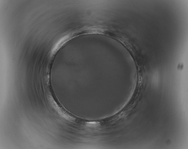 X0000114640053200911101307