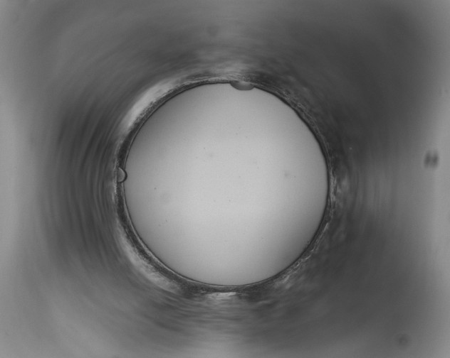X0000114640054200911101307