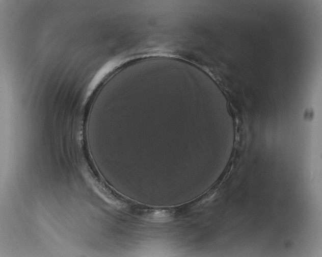 X0000114640056200911101307