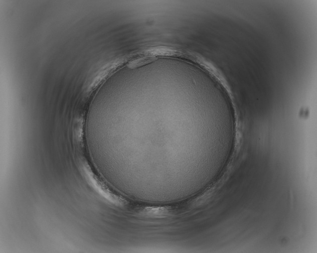 X0000114640057200911101307