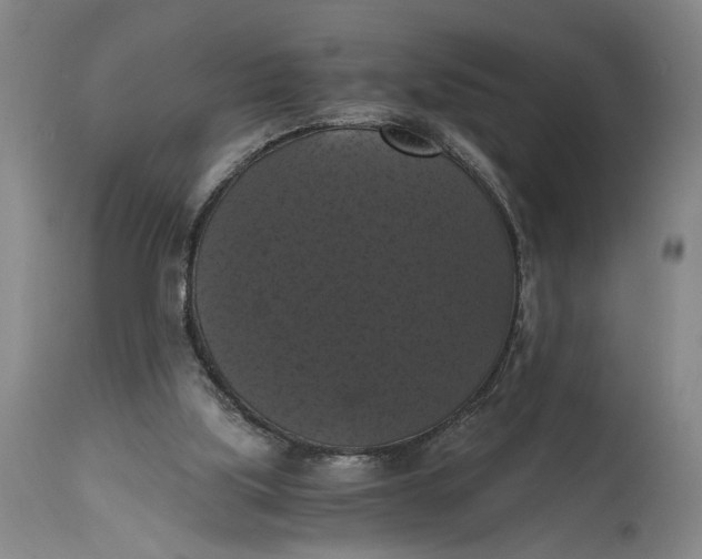 X0000114640059200911101308