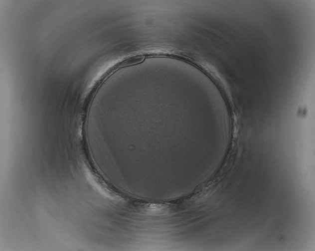 X0000114640060200911101308