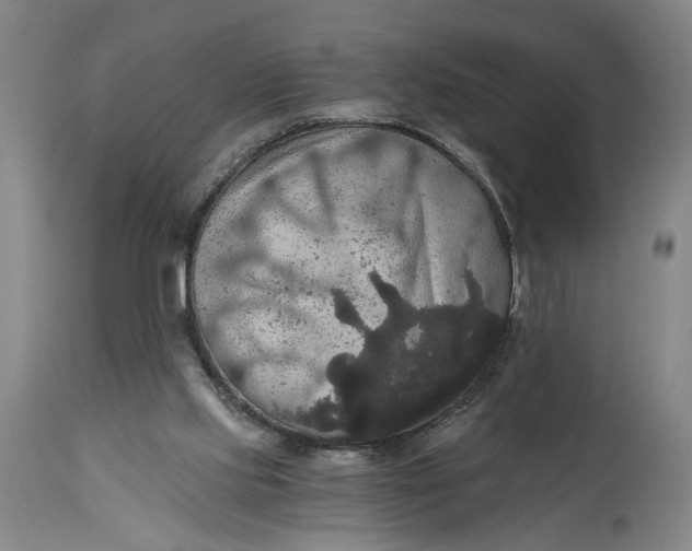 X0000114640061200911101308