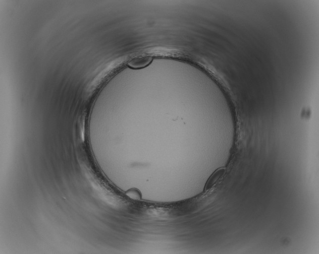 X0000114640062200911101308