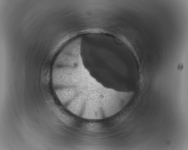 X0000114640063200911101308