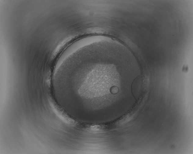 X0000114640064200911101308