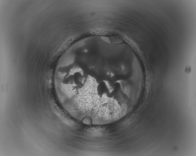 X0000114640065200911101308