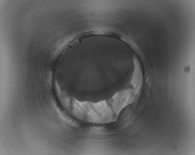 X0000114640066200911101308