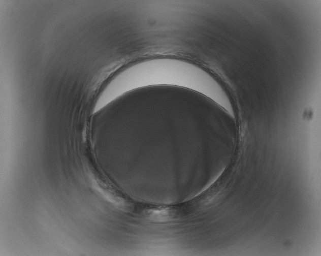 X0000114640068200911101308