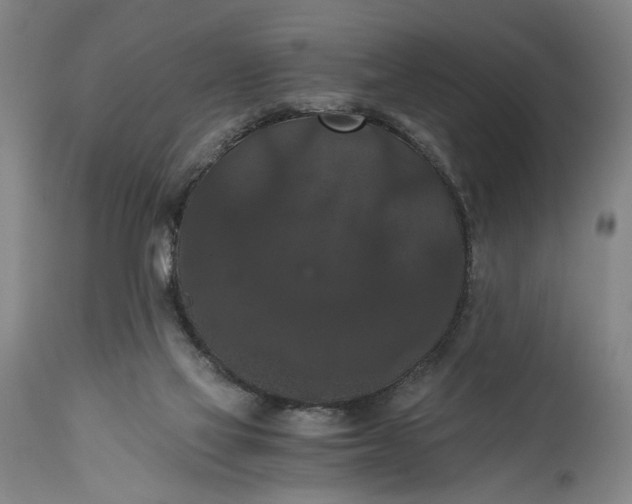 X0000114640069200911101308