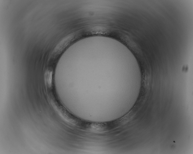X0000114640070200911101308