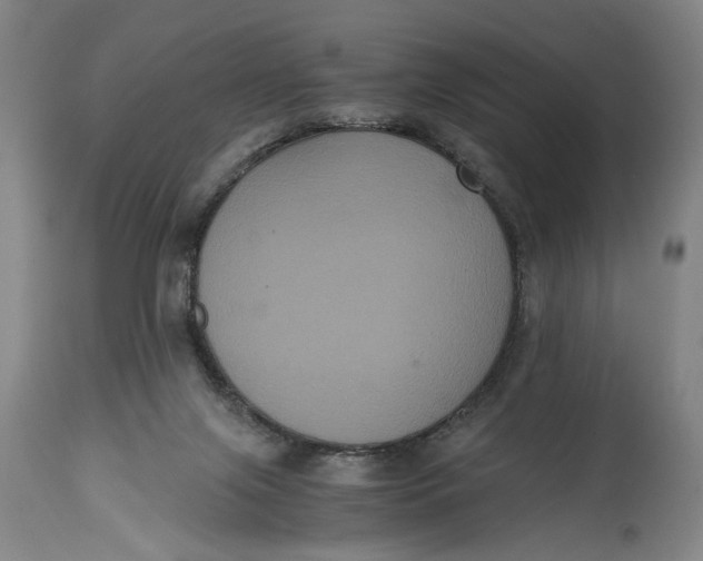 X0000114640071200911101308