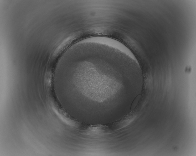 X0000114640072200911101308