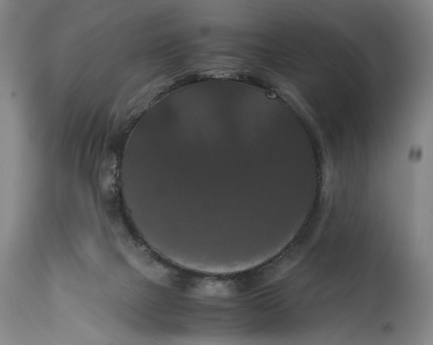 X0000114640073200911101308