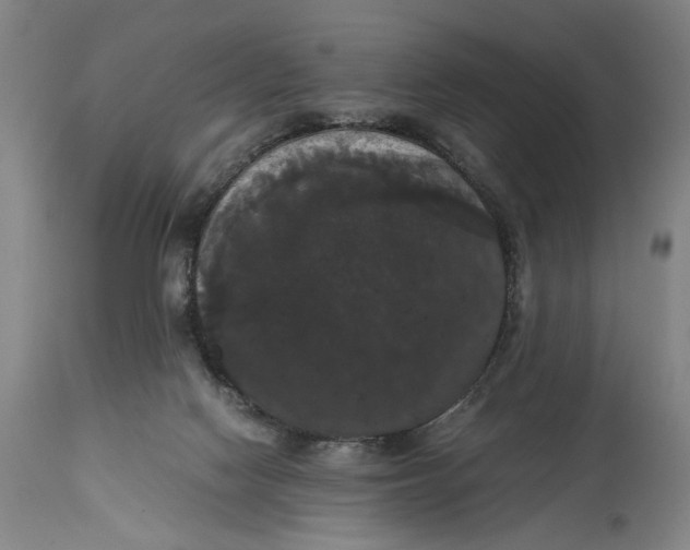 X0000114640074200911101308