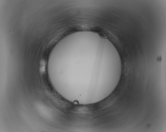 X0000114640075200911101308