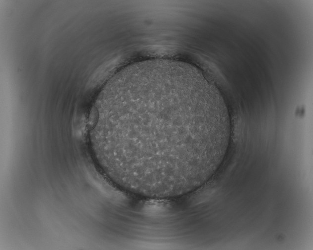 X0000114640077200911101308