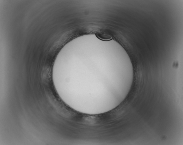 X0000114640079200911101308