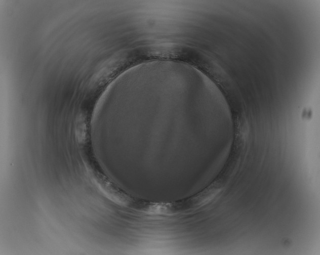 X0000114640080200911101308