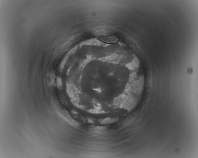 X0000114640081200911101308
