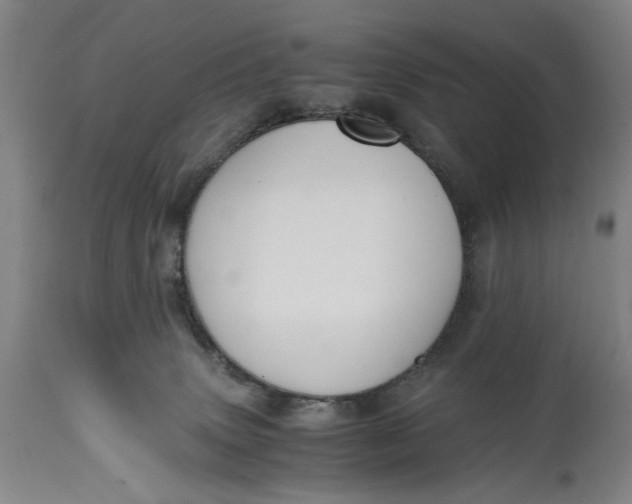 X0000114640083200911101308
