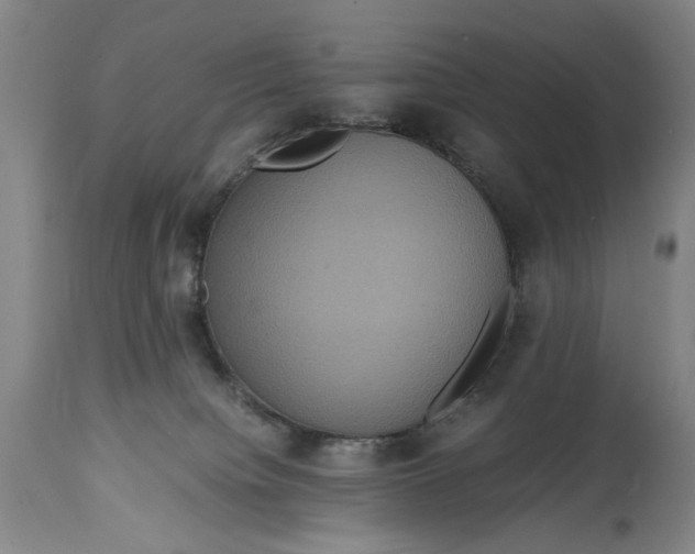 X0000114640084200911101308