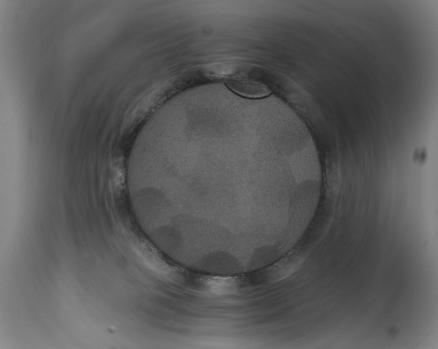 X0000114640085200911101308