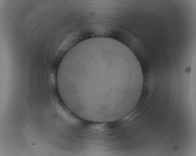 X0000114640086200911101308