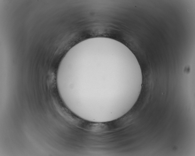X0000114640087200911101308