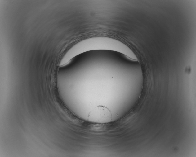 X0000114640088200911101308