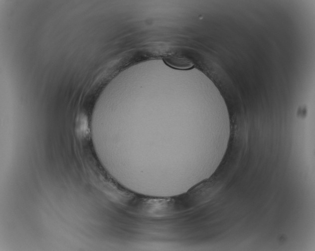 X0000114640089200911101308