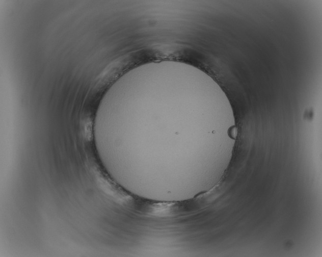 X0000114640090200911101308
