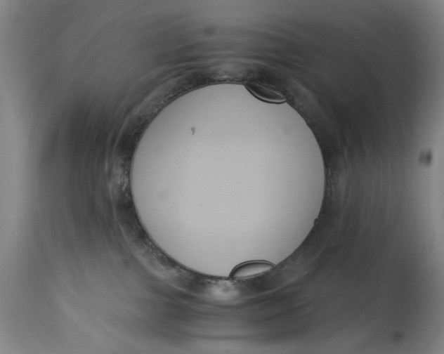 X0000114640091200911101308