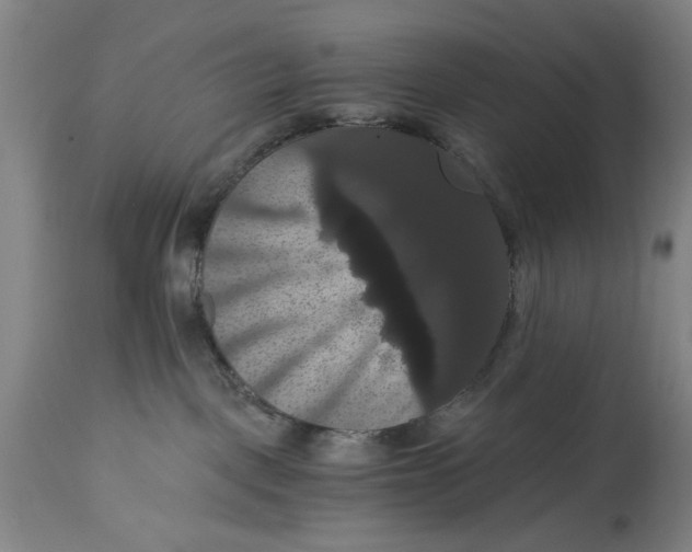 X0000114640093200911101308