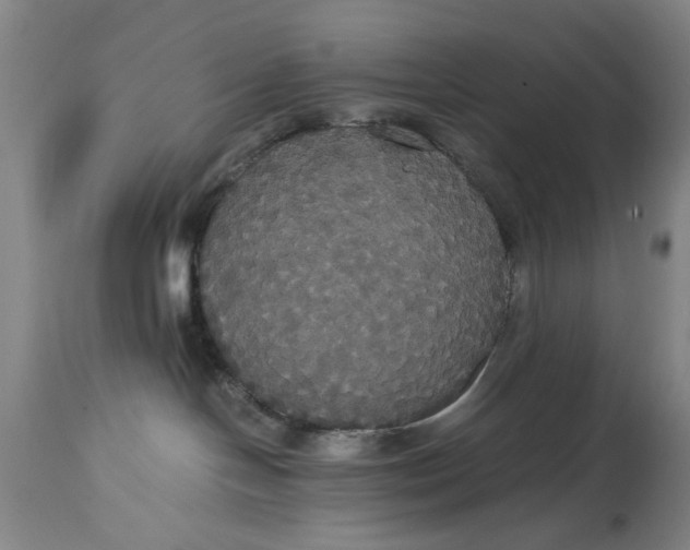 X0000114640094200911101308