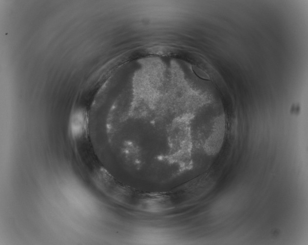 X0000114640095200911101308