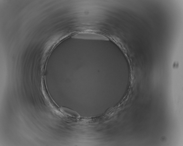 X0000114640097200911101307