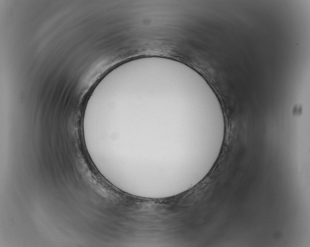 X0000114640098200911101307