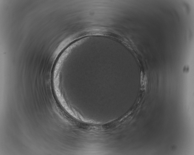 X0000114640099200911101307