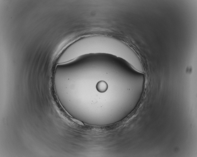 X0000114640101200911101307