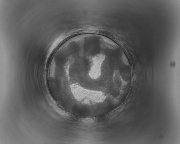 X0000114640102200911101307