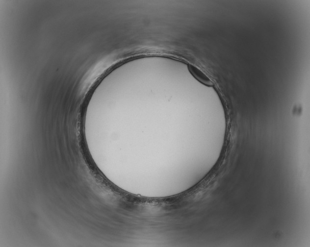X0000114640103200911101307